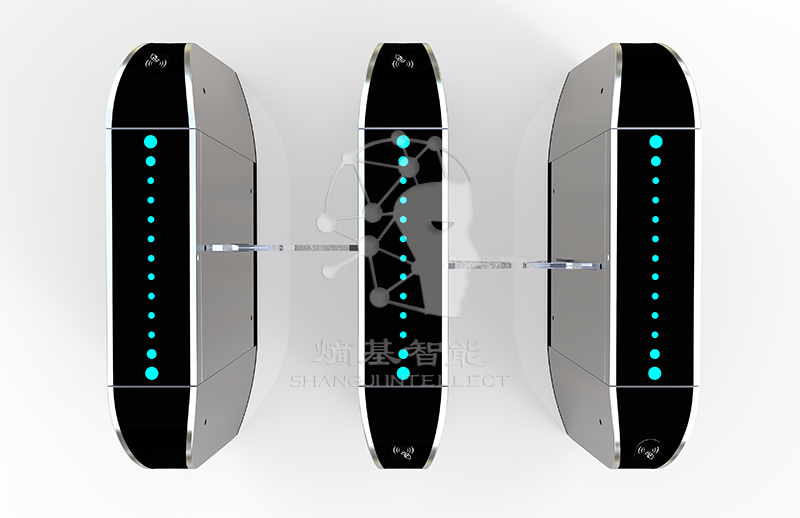 橋式烤漆弧面非標翼閘JT-Y270